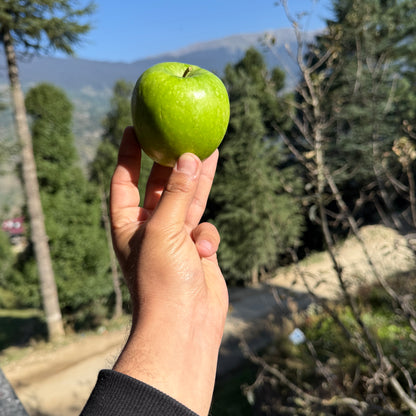 Granny Smith Apple