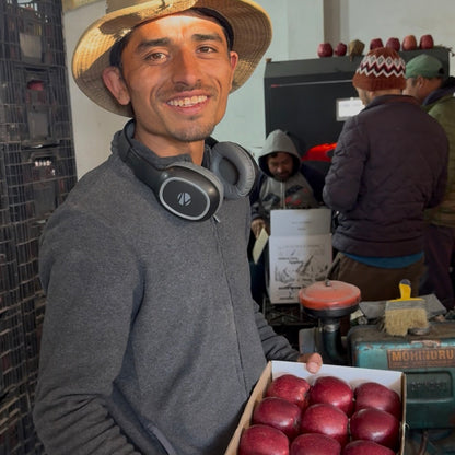 Royal Delicious Apple