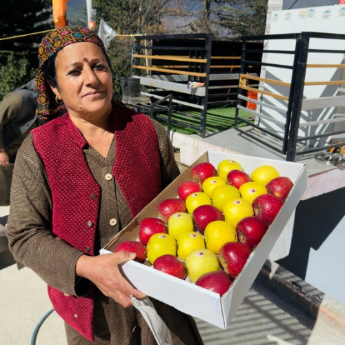 Royal Delicious + Golden Delicious (Mix Box)