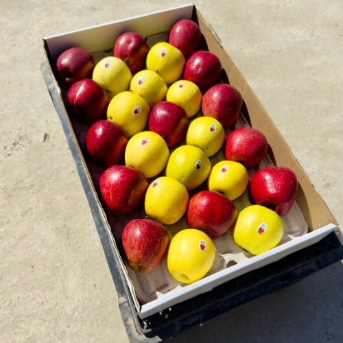 Royal Delicious + Golden Delicious (Mix Box)