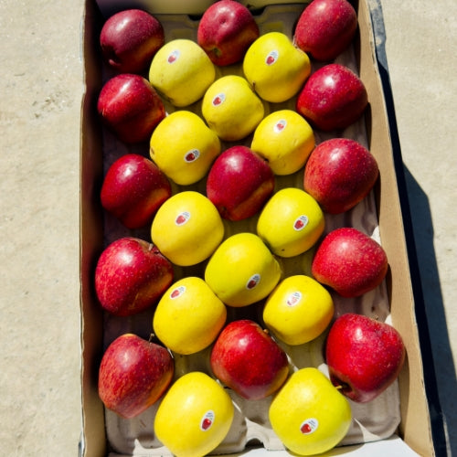 Royal Delicious + Golden Delicious (Mix Box)