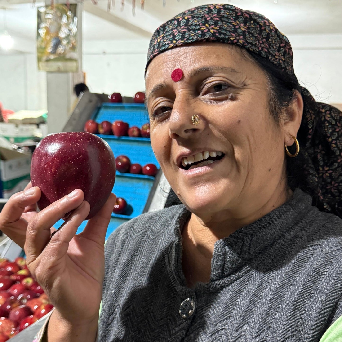 Royal Delicious Apple